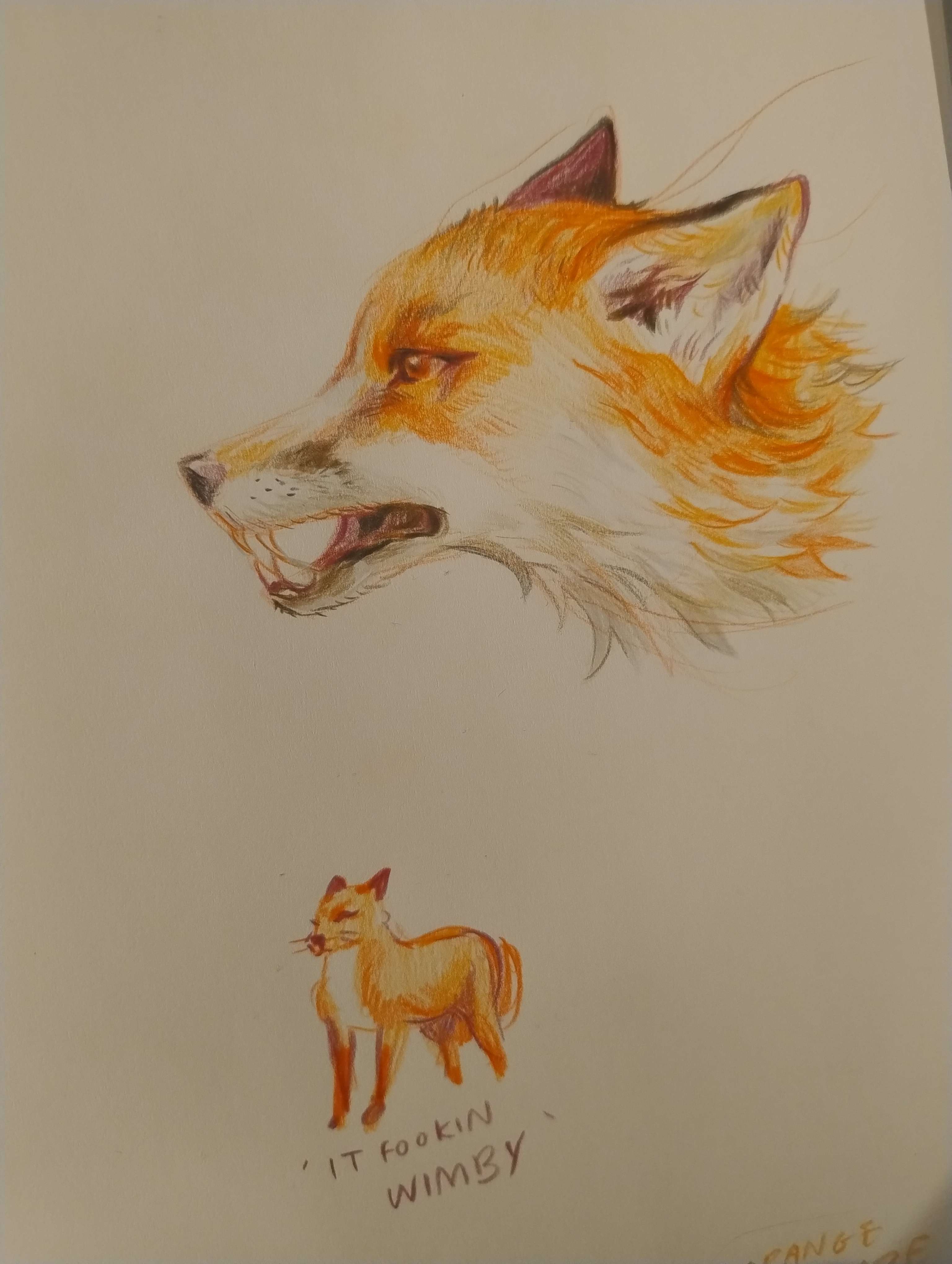 Fox