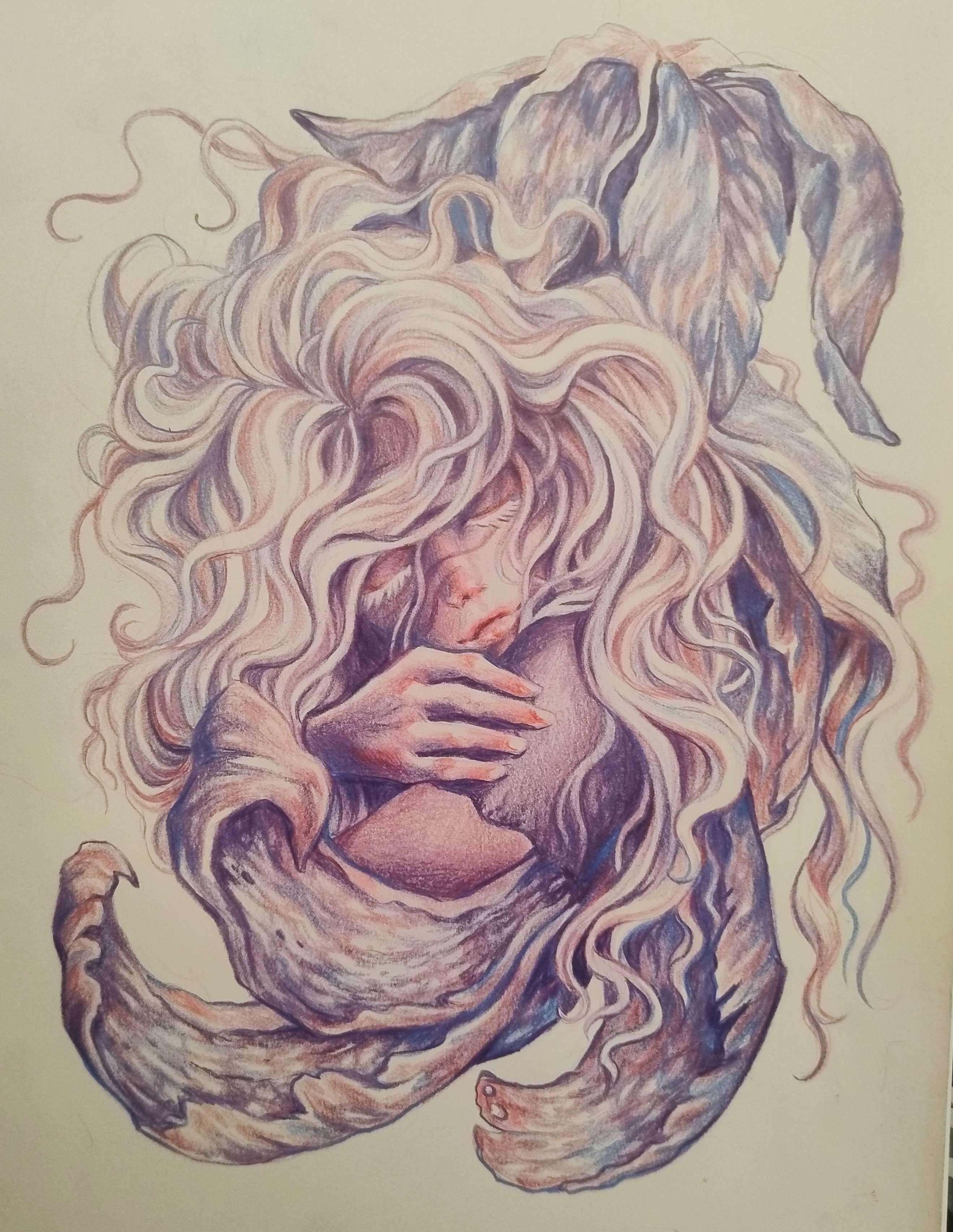 Lady
